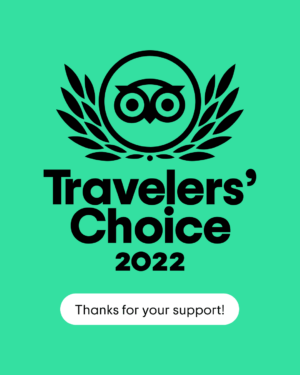 Travelers Choice Siegel 2022